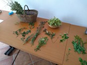 Od histórie k elixíru